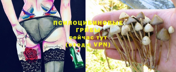 твердый Алзамай