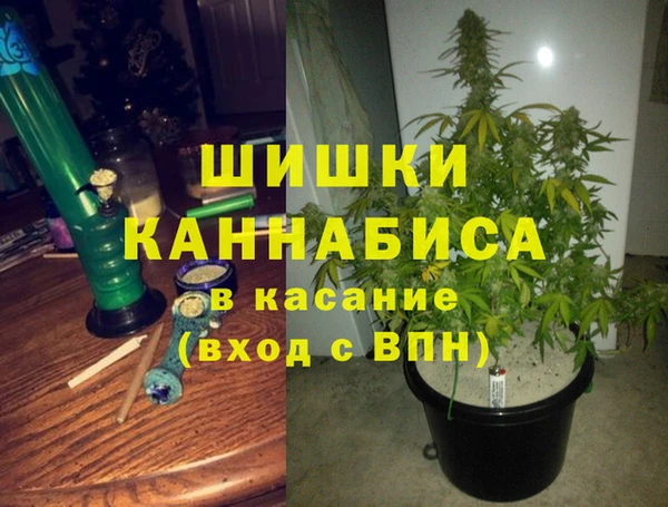 твердый Алзамай
