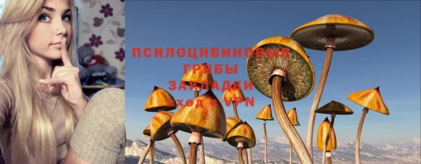 твердый Алзамай