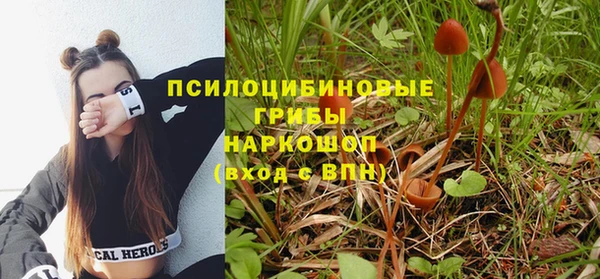 меф Алексин
